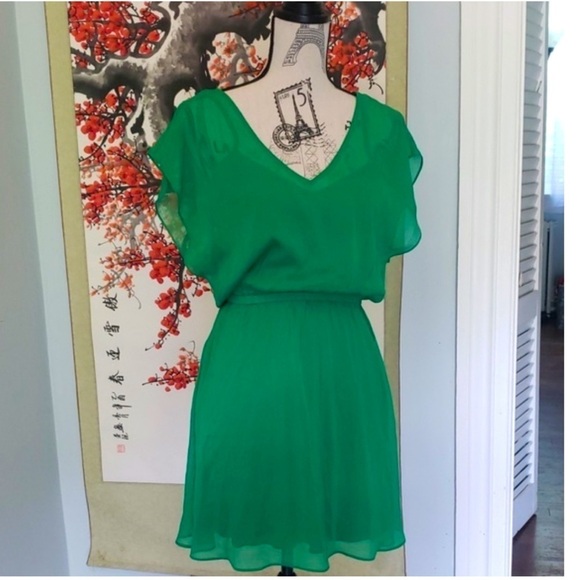 ❤️ 🆕 EXPRESS | Chiffon Mini Dress
Green size XS - Picture 2 of 5